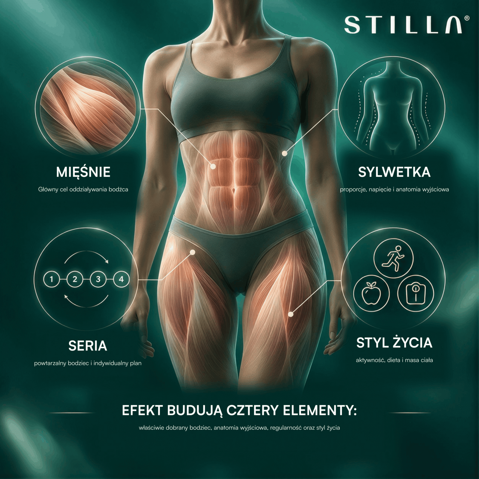 Efekt zabiegów SFERA Body: mięśnie, sylwetka, seria zabiegowa i styl życia